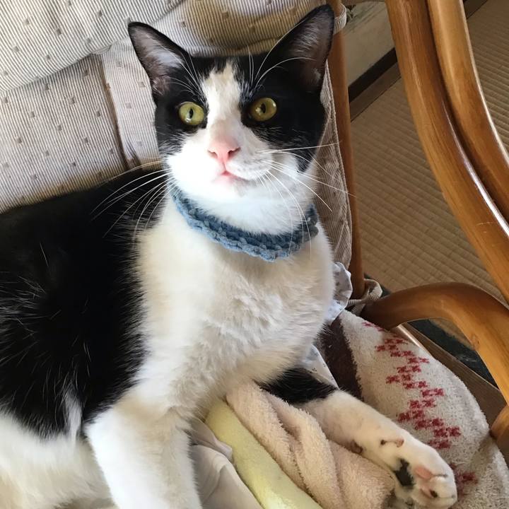 13a0057c 0461 4b46 aae3 e984eb2bfb49 1662805034293