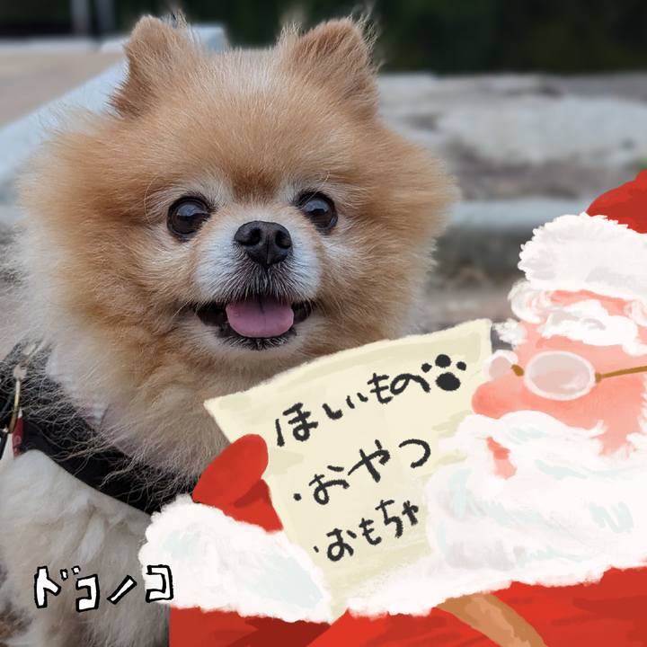 13a00e9d ba58 40ee bfe4 db0e0c8fc66e 1729253381857