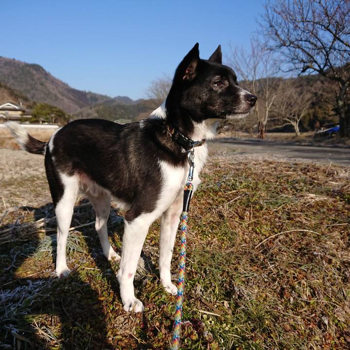 13a01dde f30f 431f 9a02 a5bc6ebaa147 1518134694411