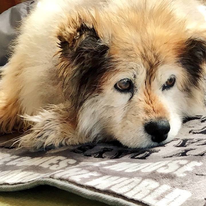 13a03c87 b9a8 4947 b319 59d6da7dc69f 1589463270133