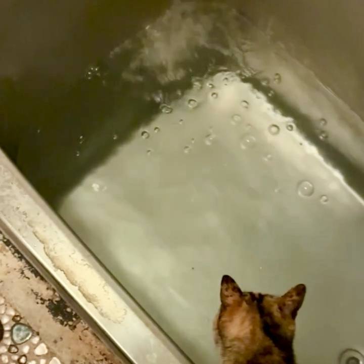 13a0595b 4a26 4f22 b7ce f3f4e4af5a9a 1746045732320