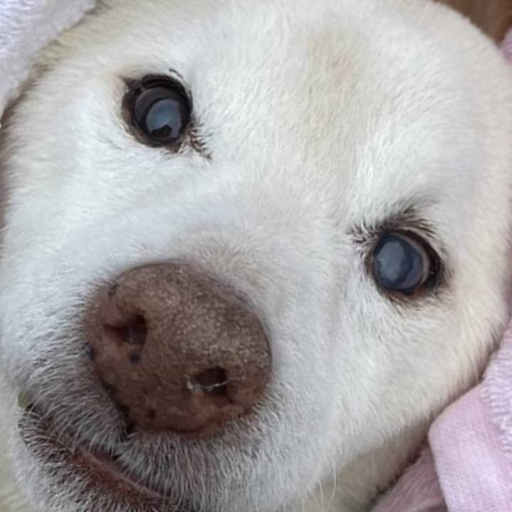 13a05a0b 8342 4575 ba33 a98efe82b847 1679315985760