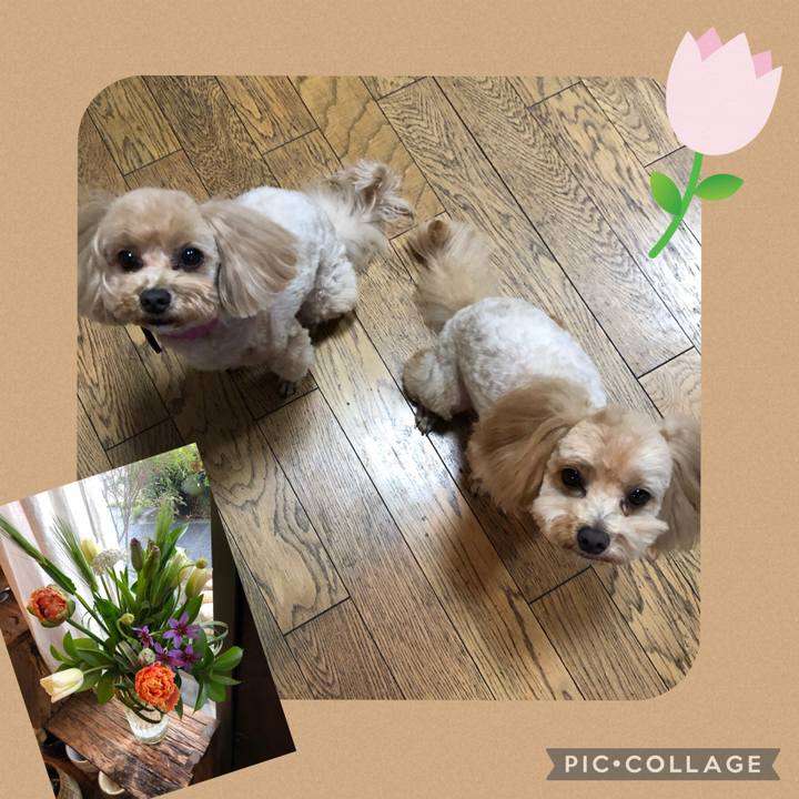 13a065e9 7854 4ff3 96b9 51d670ad763f 1679132241128