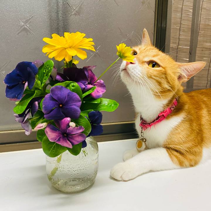 13a0b3ed 8aa3 47ae 83fa f90c05895a18 1658662995822