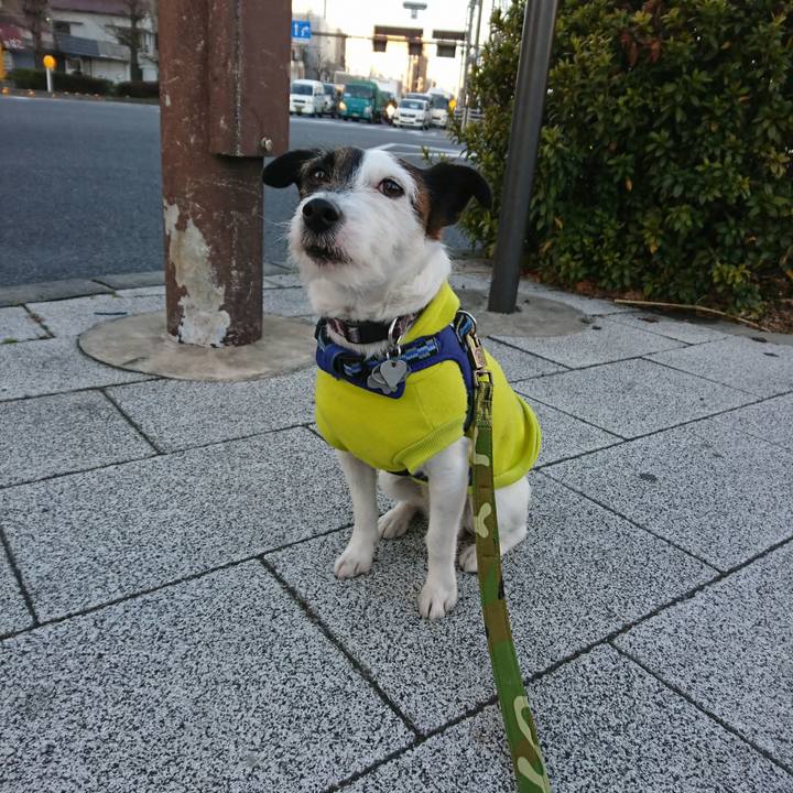 13a106d1 2755 4530 8623 5be8e3c1a69c 1518560119450