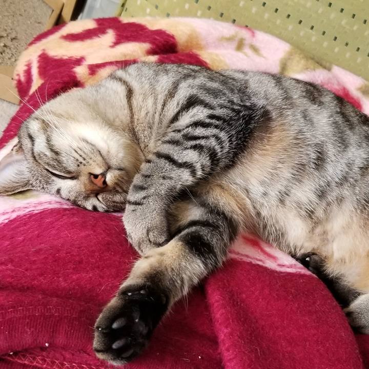 13a109f0 3a4d 4eaf 8a34 3e719b781ea8 1691388960762