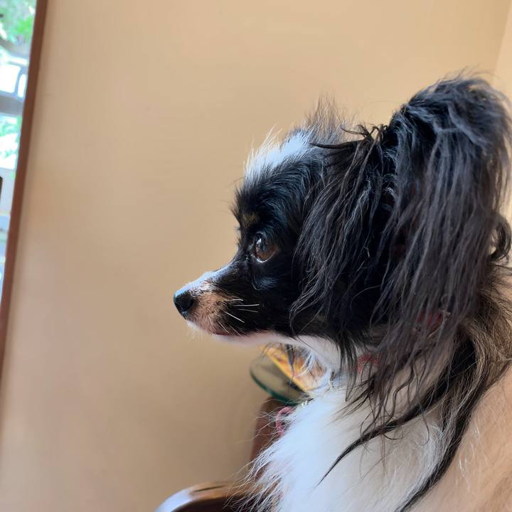 13a1159a 1394 4159 8978 8464172f7e5a 1563496062435