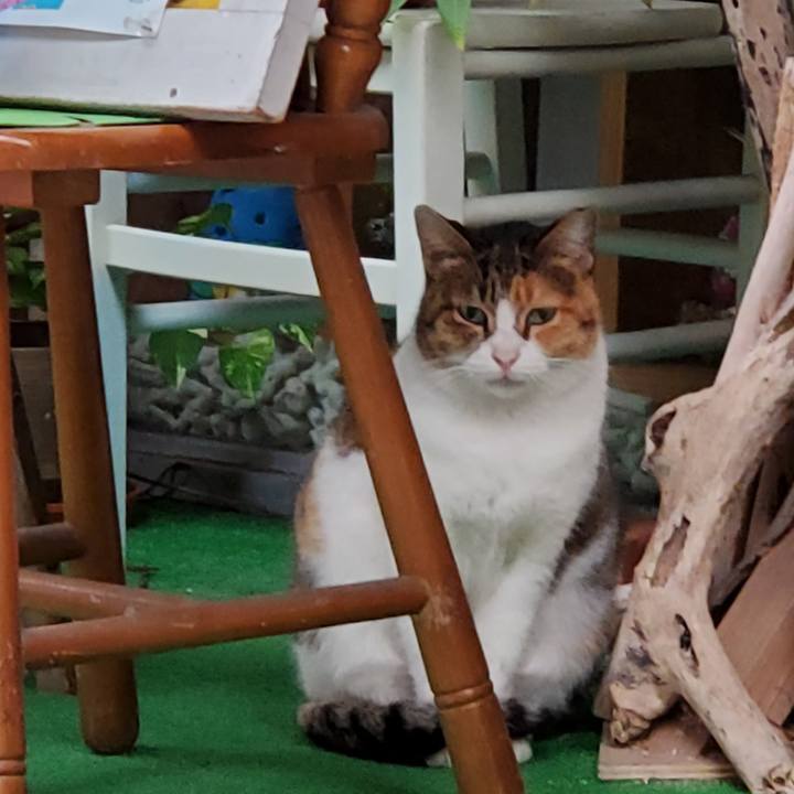 13a1512a 4ea3 4fc8 9585 df254b97e04b 1705548254120