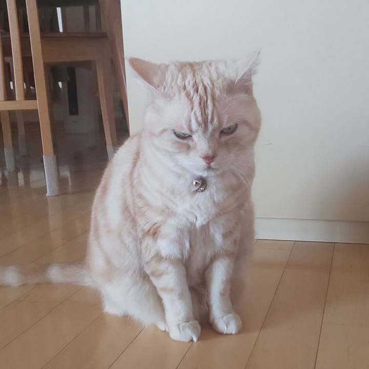 13a163cd 6db1 4c99 88db 369b0999f02b 1557300358218