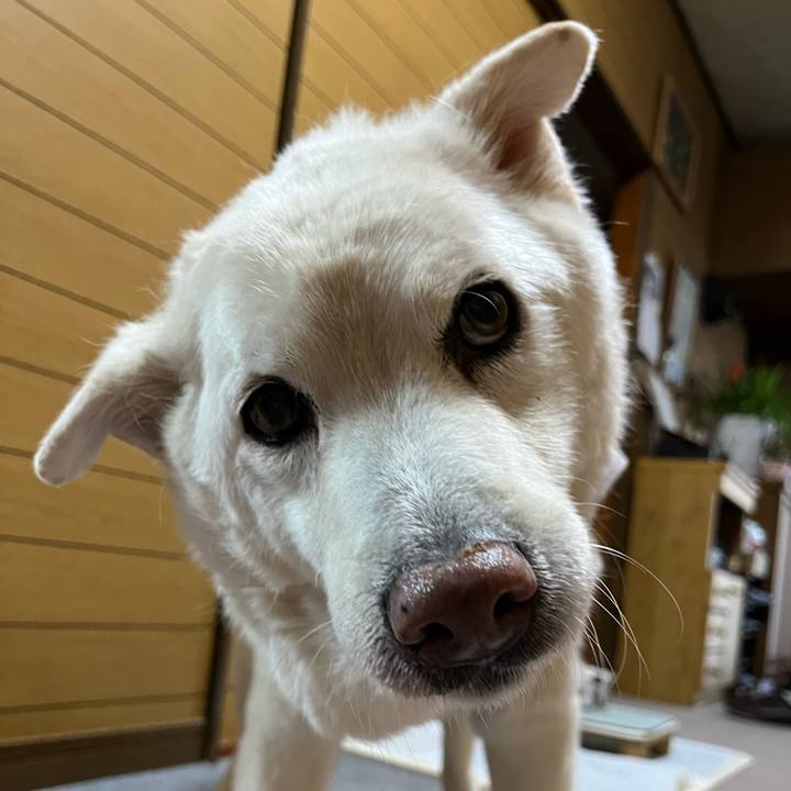 13a16719 3ad5 42fc 8f37 afe46709f17e 1767656597763