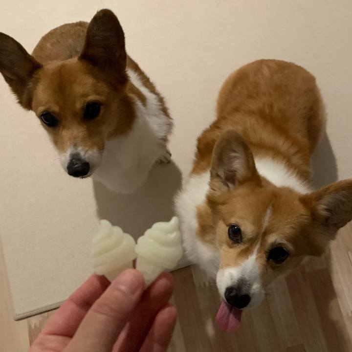 13a18866 35e2 48b9 a3bc 8194ebf9efda 1692143204480