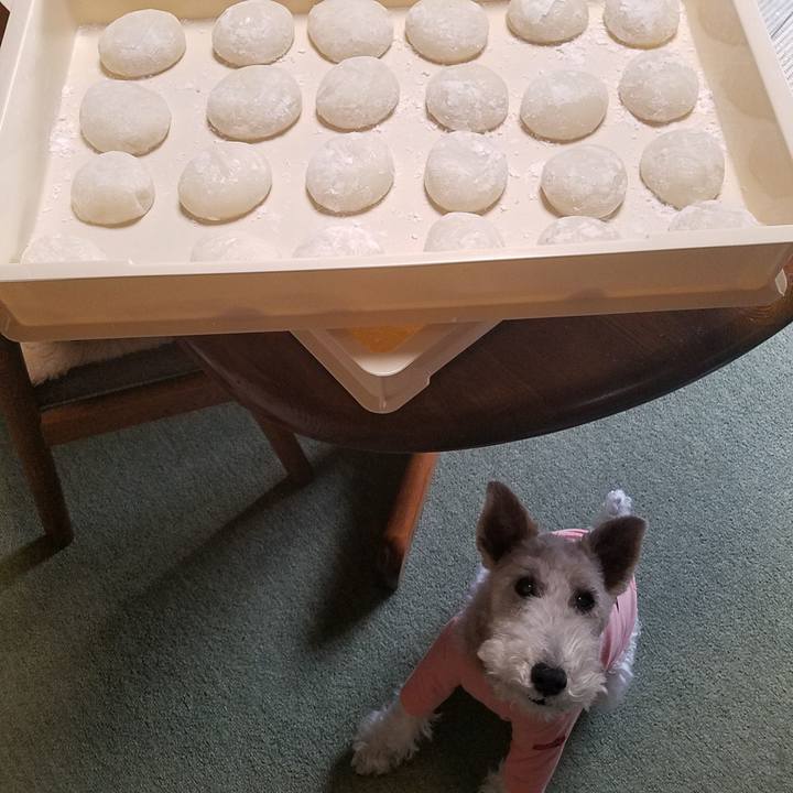 13a1a4d3 1ace 4af8 9895 c128bfea35d4 1546053221235