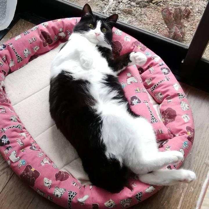 13a1fd29 a4ae 4471 993f 779d12f0ac7a 1562919016167