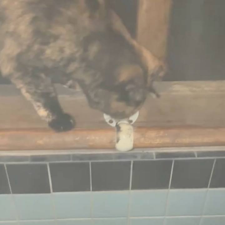 13a20243 f641 45fd 89b7 52f080649339 1766606941714