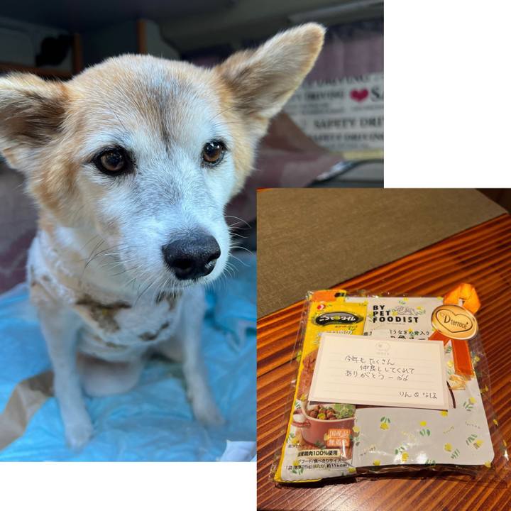 13a23a22 4cdf 4c02 aa0d d3789524ef3b 1671515276683