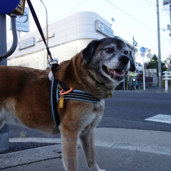 13a23c98 eaf6 4d40 b35e 9d305144cfc6 1558781770674