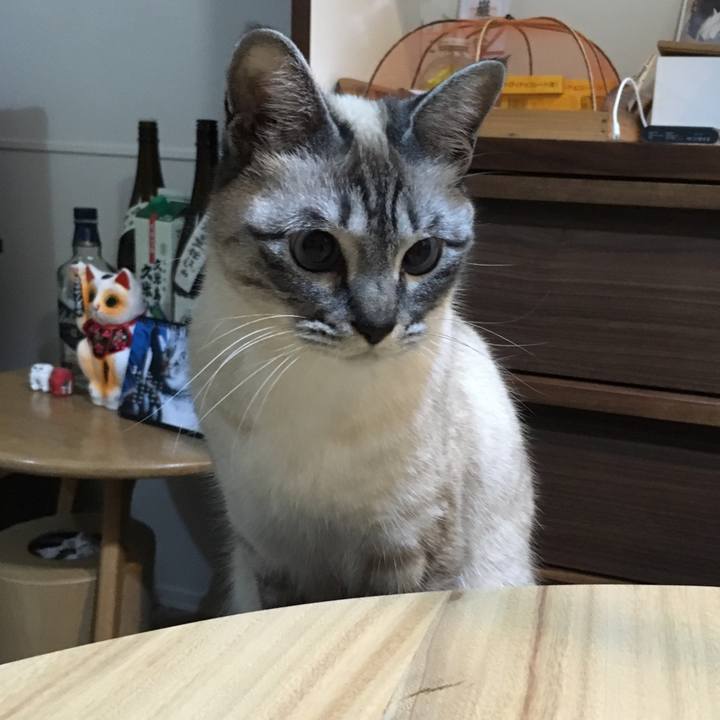 13a24b3e 8460 49c3 81c8 5822da1f9d42 1585142201160