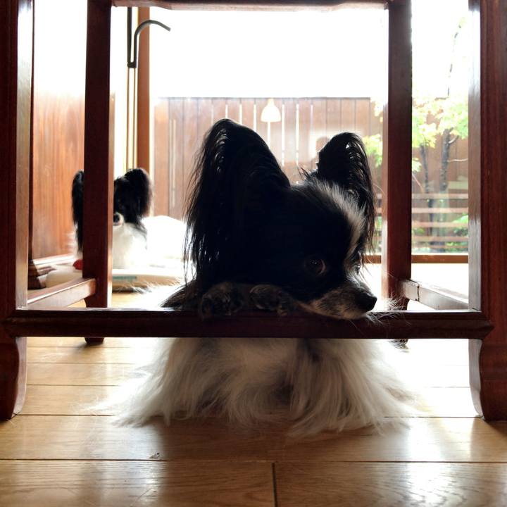 13a24e3f 9524 45a3 bd6f 2b59331dee22 1537487814688