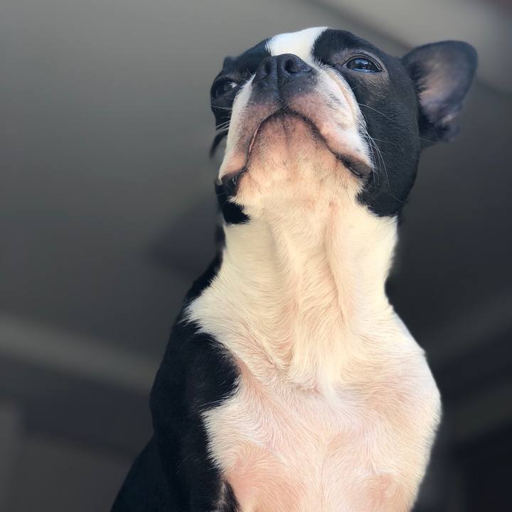 13a2518d 421b 46c1 8152 c2a0f3b13090 1529144590209