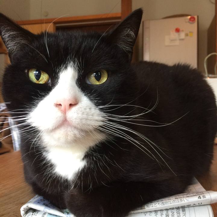 13a26819 5cbc 4b2e a09a 3c059f9e0b87 1516144384016