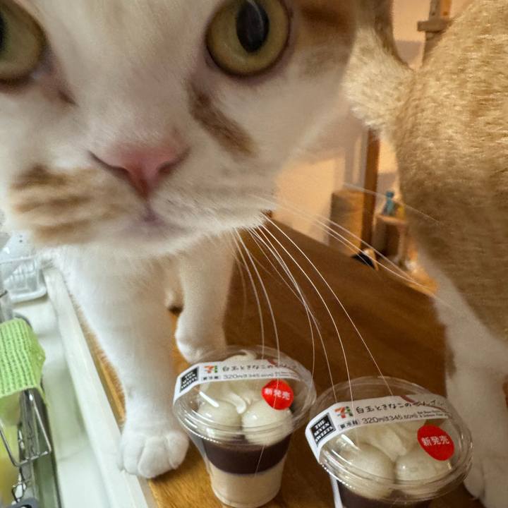 13a27159 210c 48d3 9f89 743d9366d7b4 1761827165412