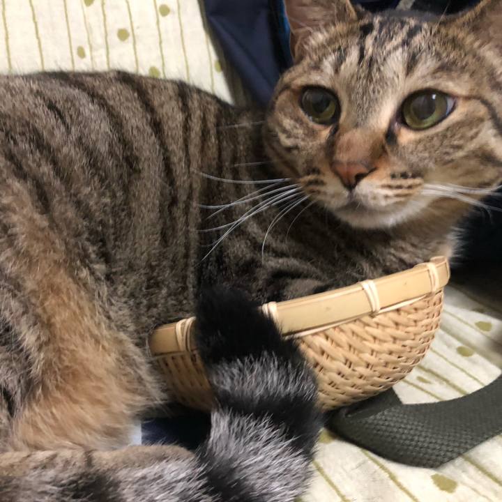 13a27c90 1ba6 4439 b40b 2cd266a949cf 1629405035628