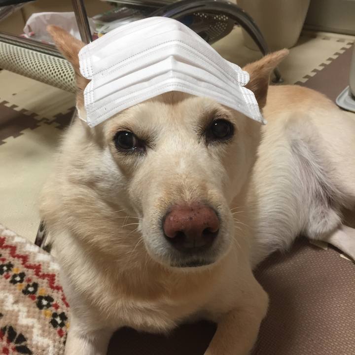 13a28125 f8ad 4197 aece 46190243d529 1520518562185