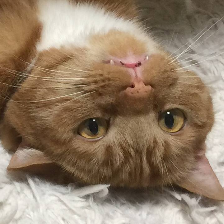 13a285b7 cc4a 4f92 a17b 9352dc473b91 1590205716563