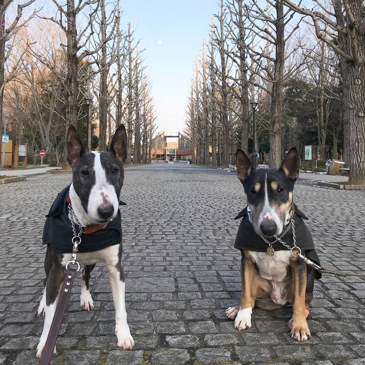 13a2d766 11d5 4589 b4aa f95f630fc14d 1517219829191