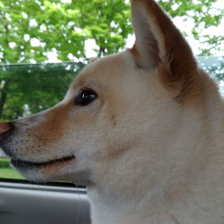 13a2d8d2 3031 496f a510 822f839d994c 1523773322653