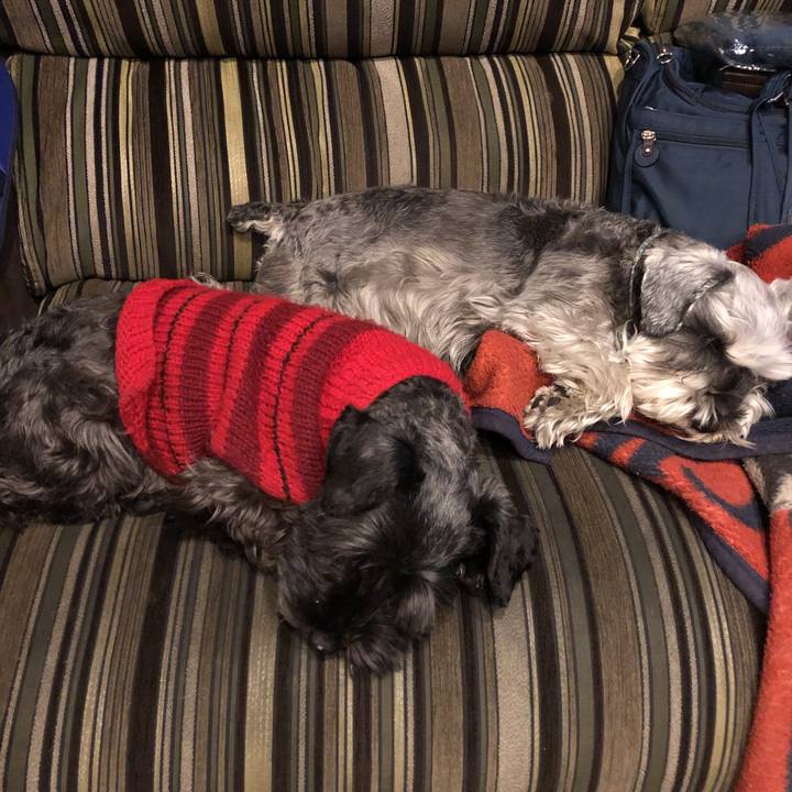 13a30b4a 4d91 4df1 a566 72dc14d2fe8b 1547292945179