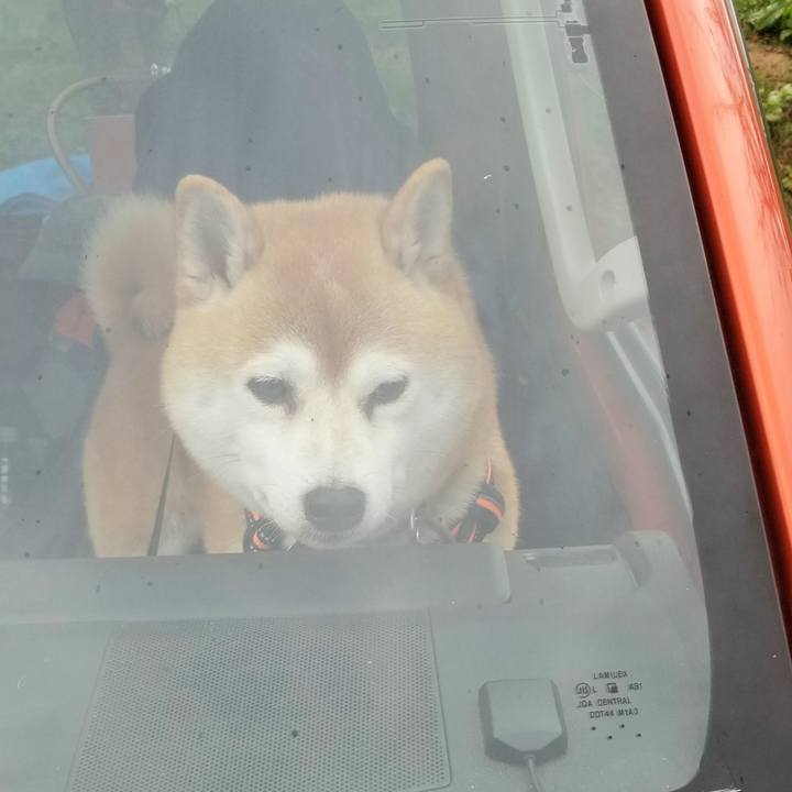 13a38460 21bb 4fbd 9741 66d77a681088 1604752487357