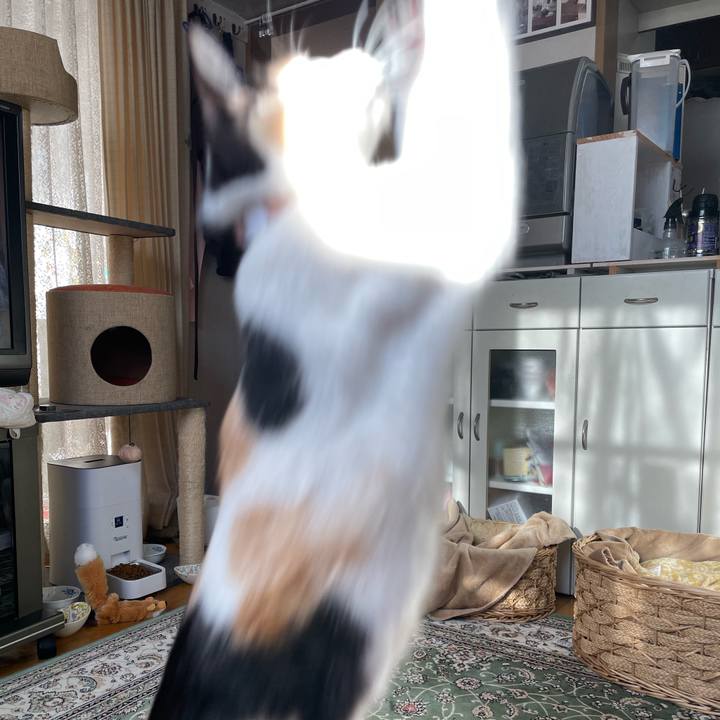 13a3bf06 e06c 4323 872e 1beb6acc5c19 1674950709032