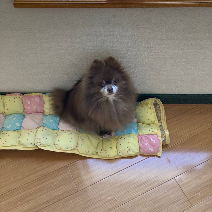 13a3c554 d08e 4aca ba66 0a6b77dde93f 1711576945502