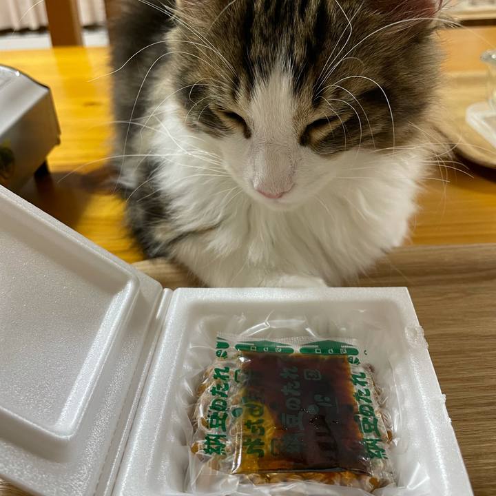 13a3e38e 8286 49e8 b133 026966182a01 1635241840297