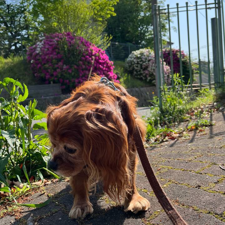 13a3e3c5 8db0 42d7 a3ec 4f4567b84f56 1746228234959