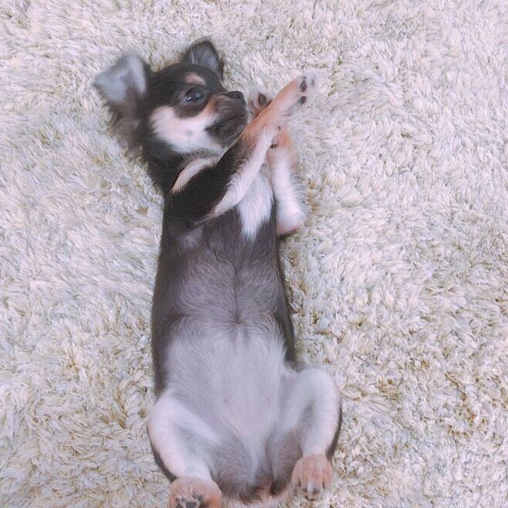 13a42b78 471f 4170 8b84 cdcbc28ea704 1539300461444