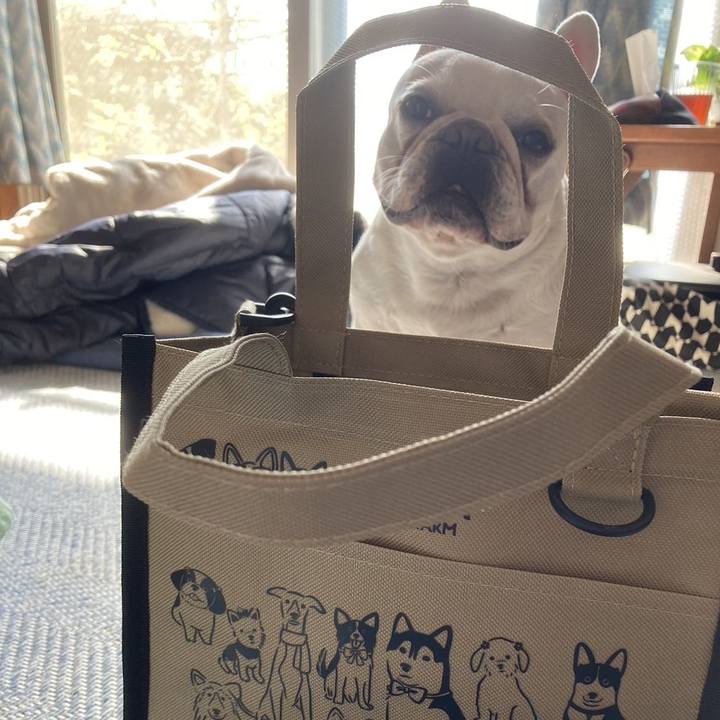 13a44260 8af8 4cfc 8452 9bd2c420f821 1698984110682