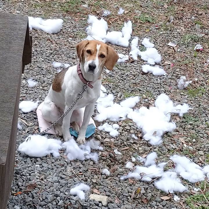 13a44545 ad00 4000 bf81 17c10e54db48 1639312550520