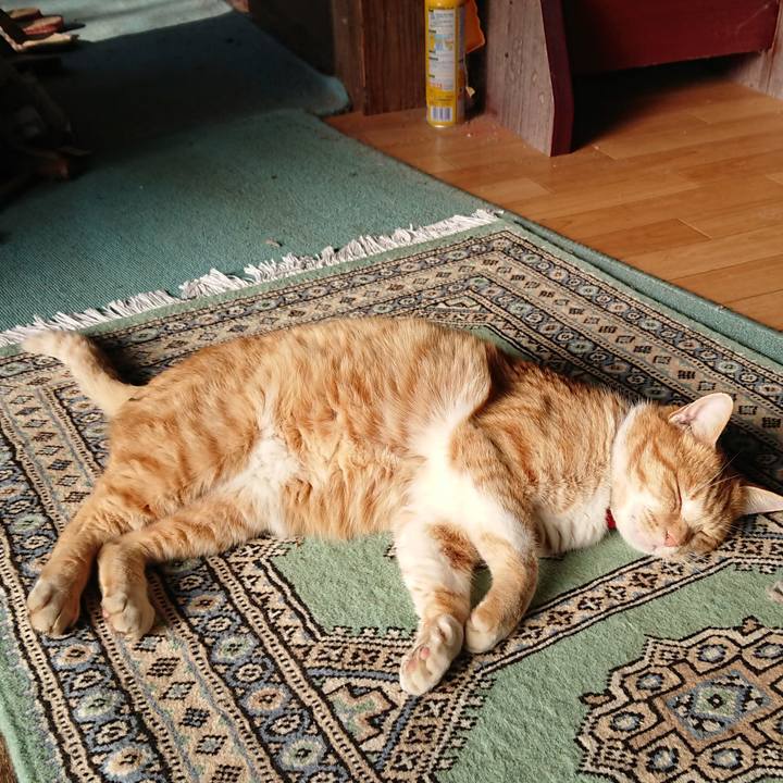 13a4645f c54f 4267 8158 d4e8f0c2cea9 1577581720345