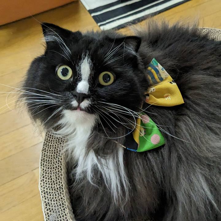 13a4757e 152c 407e 9a4b 5001adbe8e28 1693570554563