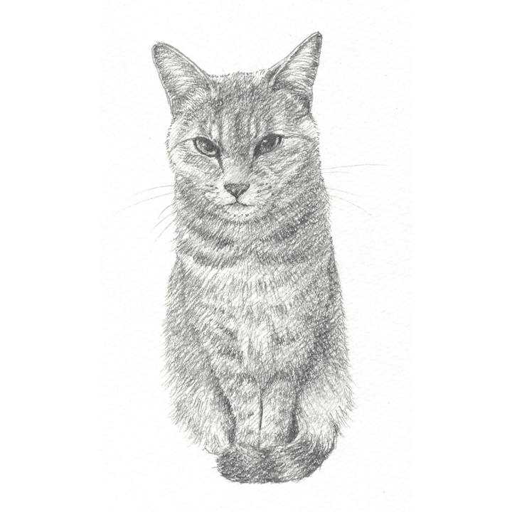 13a4ec4e 7bd6 43ed 9a7f fae38538cf27 1547301175104