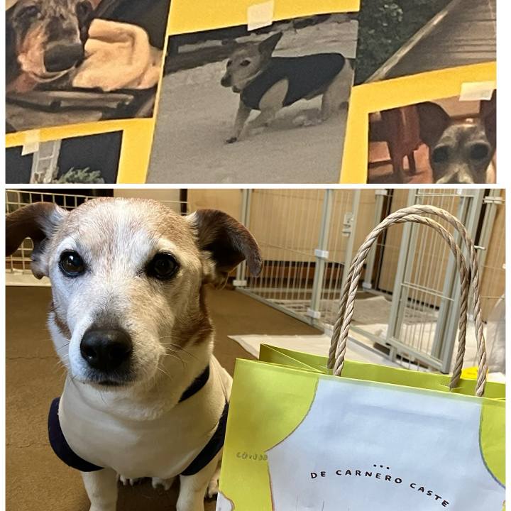 13a50ad8 9d0c 4c53 b926 e51b13e584de 1774393620713