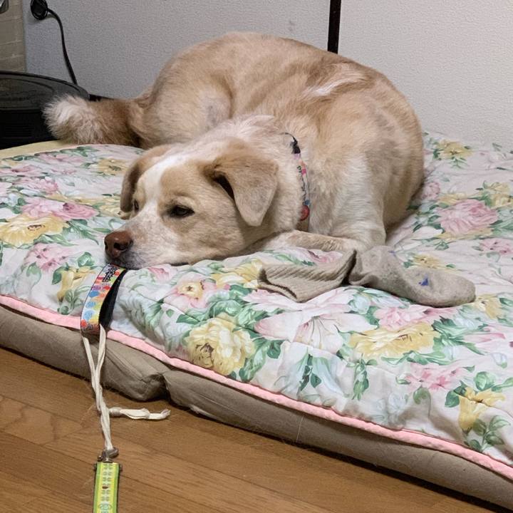 13a52b4e a35d 4130 b020 95e37b55295a 1552737968393