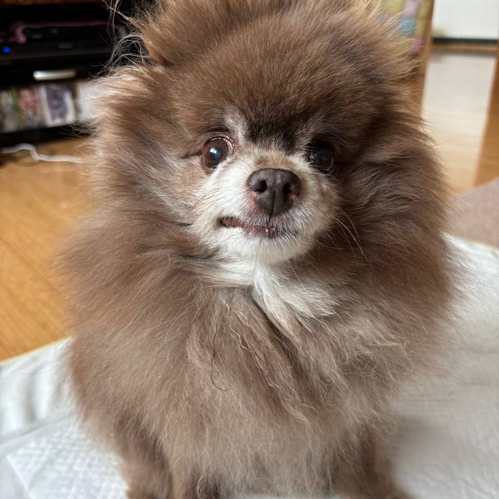 13a53b65 f5a2 4547 ac44 20ba9168c449 1749673315302