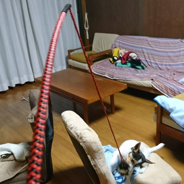 13a55037 6072 4abe aca0 6166e82d81b3 1544268227976