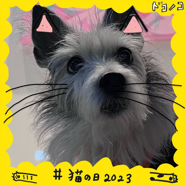 13a5800f d35b 420e a0e4 c0749e74ee9b 1677067912281