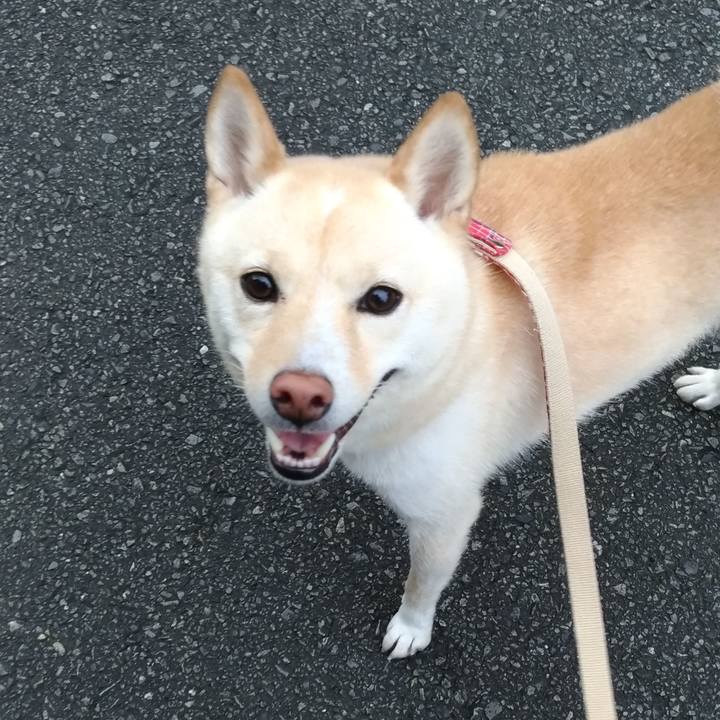 13a5806e d434 409b ba02 1ac17221c67e 1570448631467