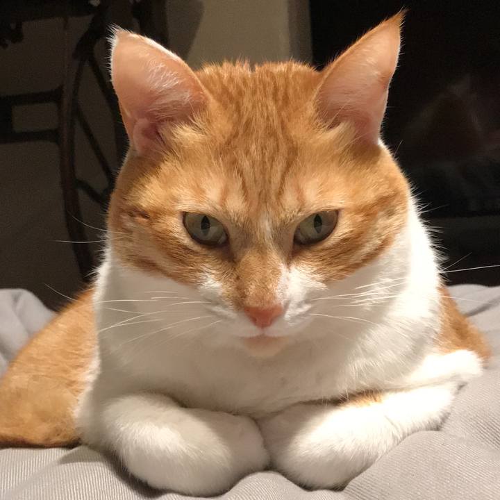 13a59aea c13e 48ba 82b0 f82dd3009365 1548369532173