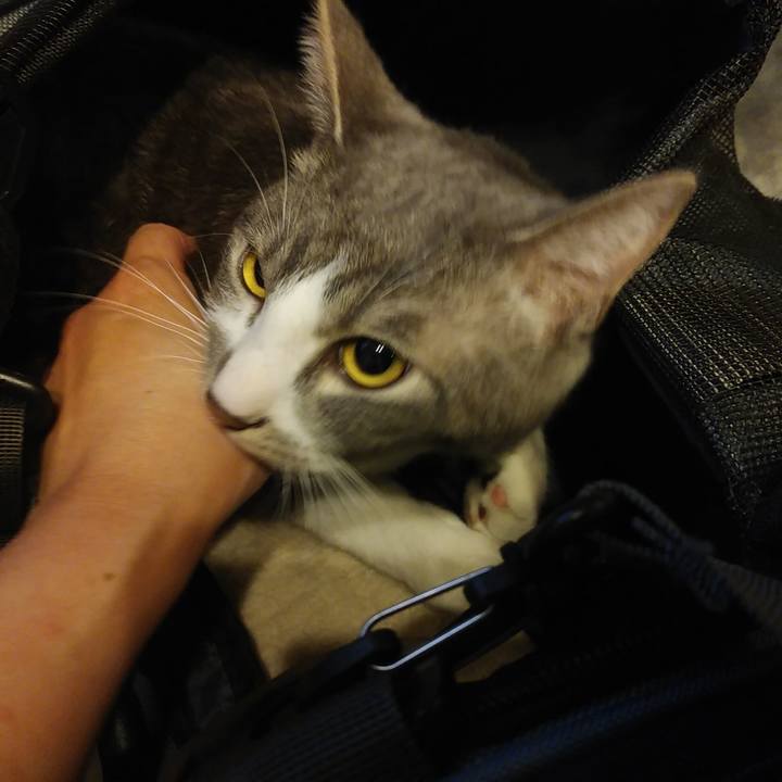 13a59ca0 4731 47d8 a5c5 c18dcf89b62e 1587307812600